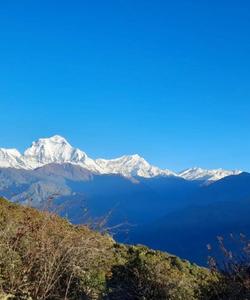 Nepal Trekking