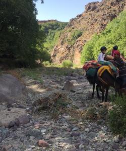 On the trek 