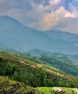 Local landscape 