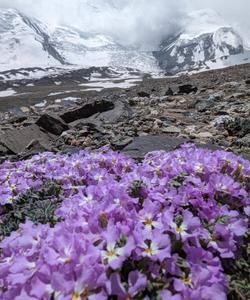 Kyrgyzstan Hiking