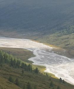 Local landscape 