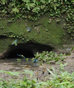 Ecuador Trekking