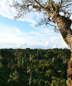 Ecuador Trekking