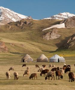 Kyrgyzstan Trekking