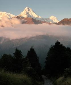 Nepal Trekking
