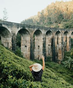 Morning at Nine Arch Bridge