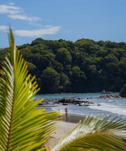 tropical beach in Costa Rica