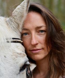 Horse experience