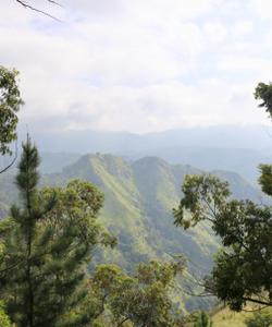 hills in Sri Lanka
