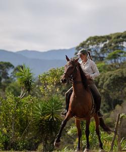 Horsemanship lesson
