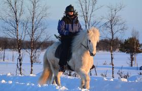 Sweden Riding