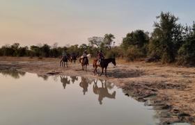 Zimbabwe Horse Riding