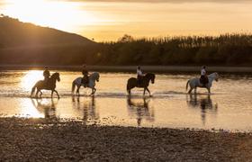 Portugal Horse Riding
