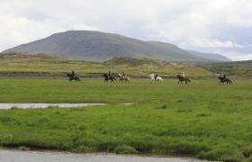 Iceland Horse Riding