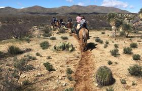 Arizona Horse riding