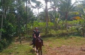 Indonesia Horse Riding
