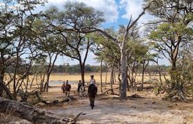 Zimbabwe Horse Safari