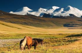 Mongolia Horse Riding