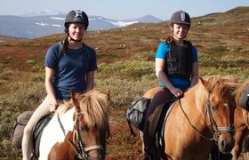 Sweden Riding