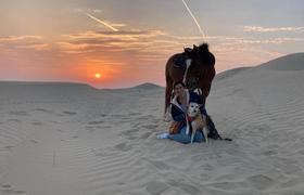 Abu Dhabi Riding