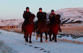 Iceland Horse Riding