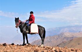 Uzbekistan Horse Riding