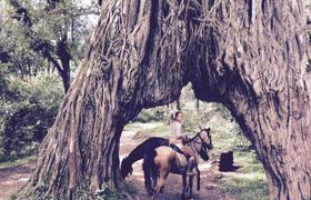 Tanzania Horse Riding