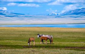Kyrgyzstan Riding