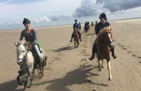 Denmark Horse Riding
