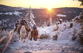 Romania Horse Riding