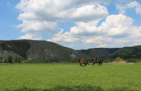 Serbia Horse Riding
