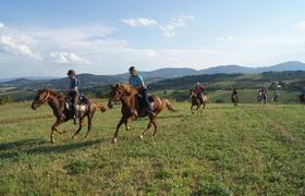 Serbia Horseriding