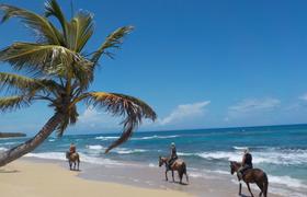 Caribbean Beaches