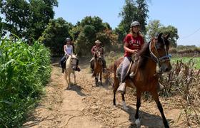 Peru Horse Riding