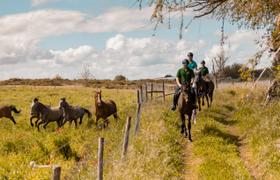 Portugal Horse Riding