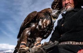 Eagle hunter 