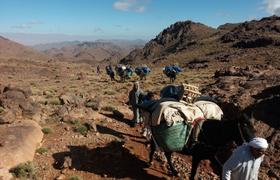 On the trek 