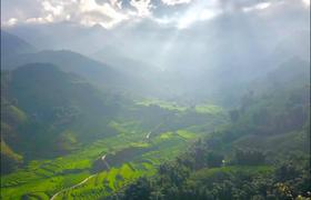 Local landscape 