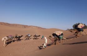 On the trek 