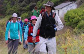 tourists on great ocean road