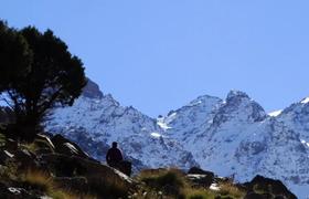 Local landscape 