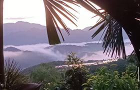 Local landscape 