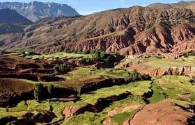 Local landscape