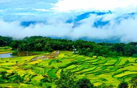 Local landscape 