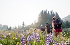 On the trek 