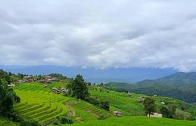 Local landscape 