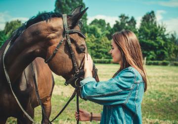 Building a Bond with Your Horse: A Guide for Equestrians