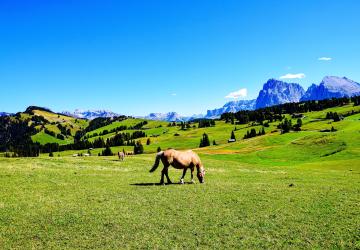 Italy
