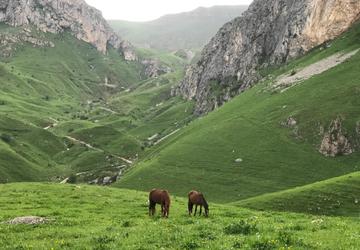 Armenia