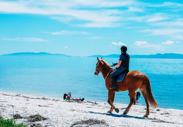 New Zealand
